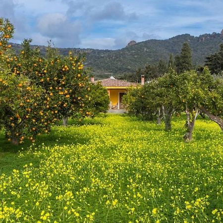 A Charming Country Cottage + Bikes And Kayaks Bosa Bagian luar foto