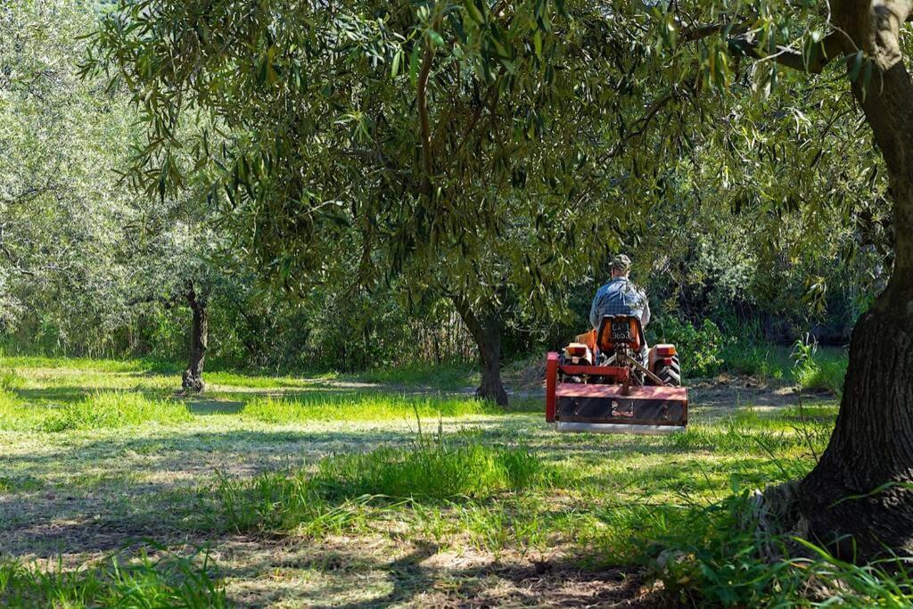A Charming Country Cottage + Bikes And Kayaks Bosa Bagian luar foto