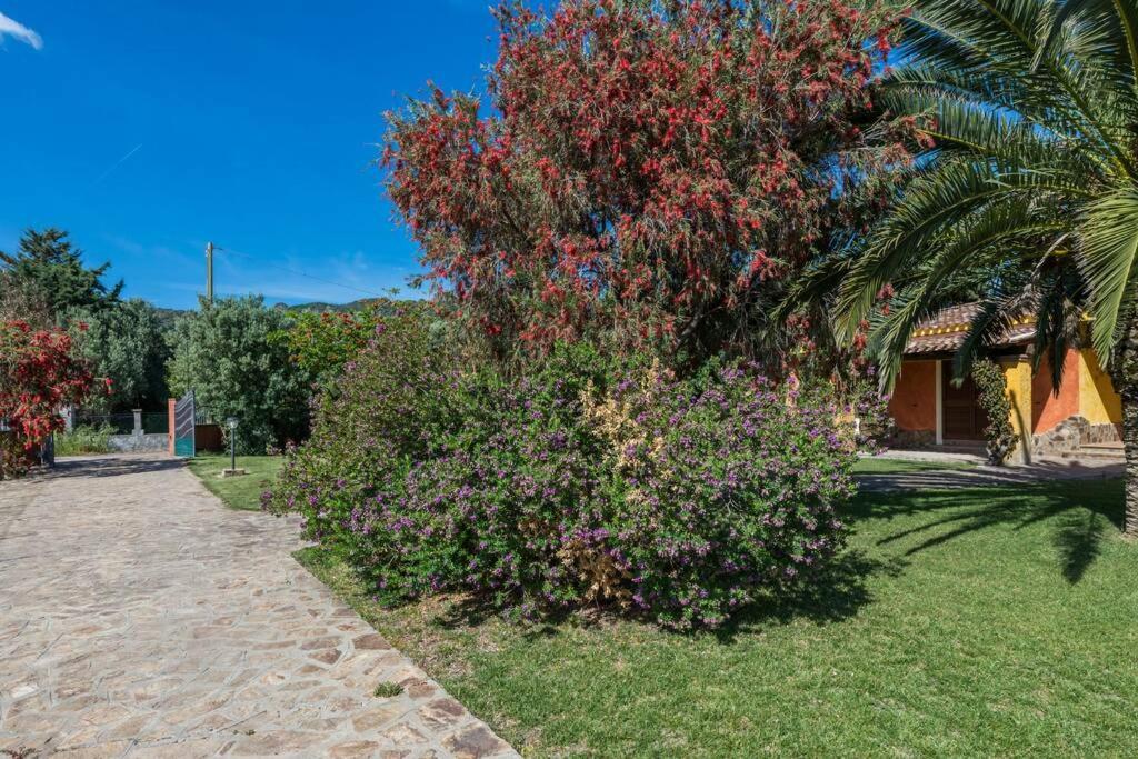 A Charming Country Cottage + Bikes And Kayaks Bosa Bagian luar foto