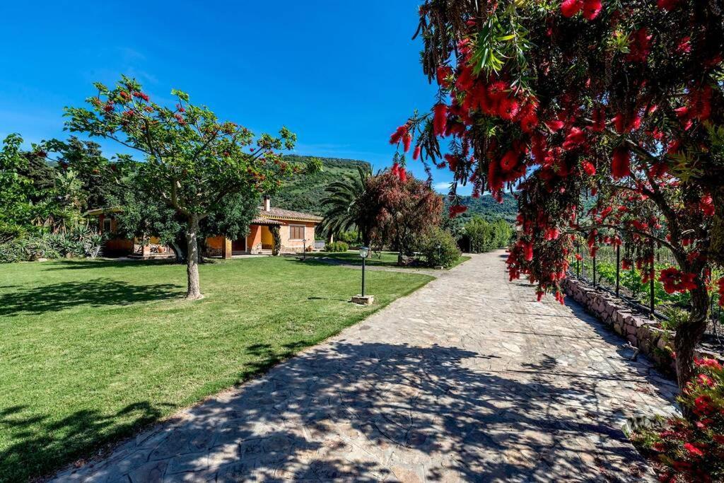 A Charming Country Cottage + Bikes And Kayaks Bosa Bagian luar foto