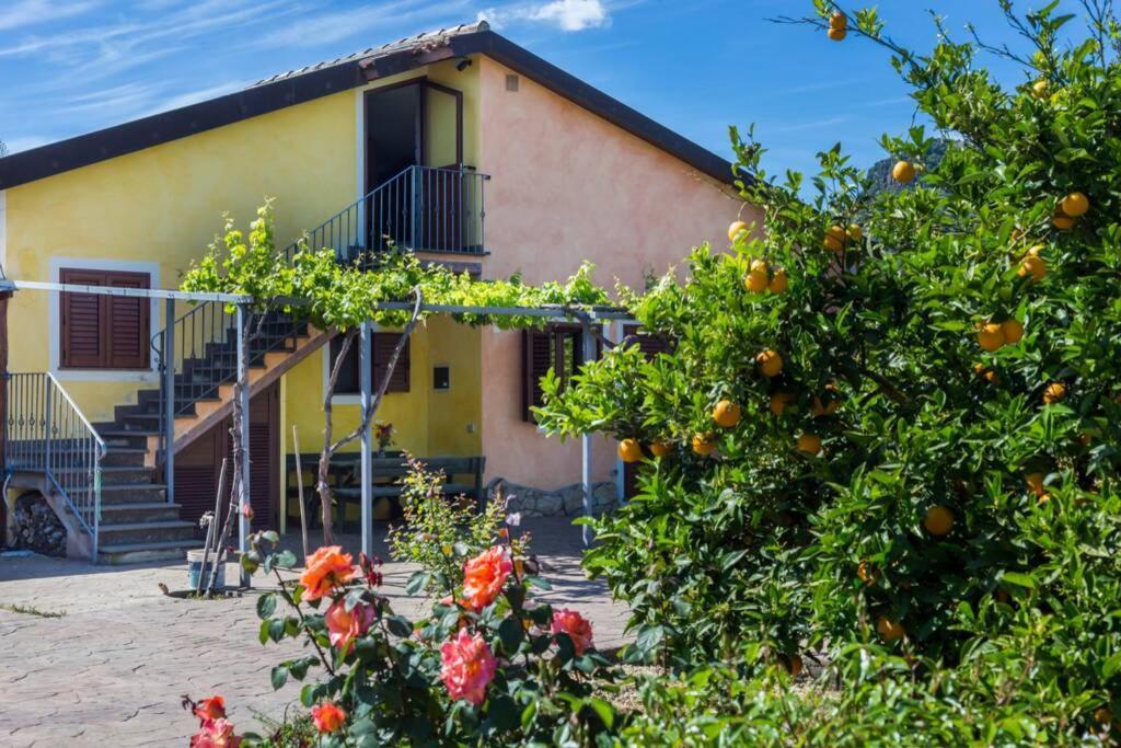 A Charming Country Cottage + Bikes And Kayaks Bosa Bagian luar foto