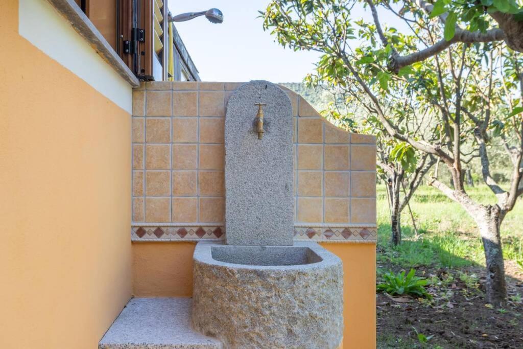 A Charming Country Cottage + Bikes And Kayaks Bosa Bagian luar foto