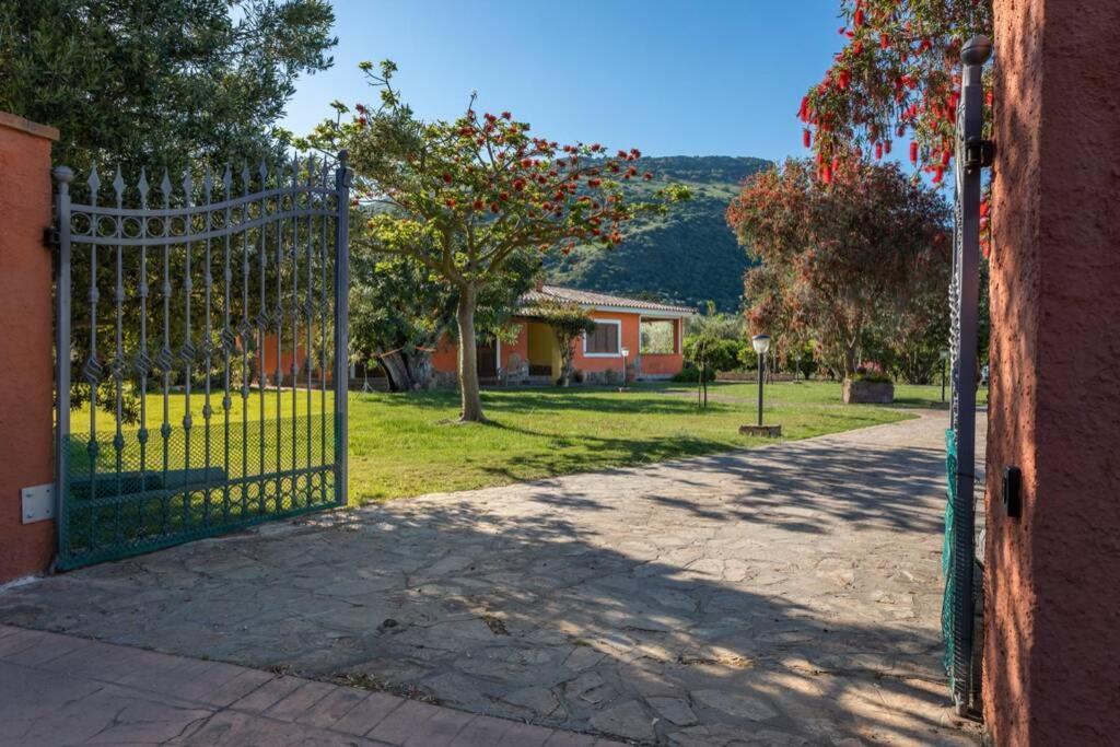 A Charming Country Cottage + Bikes And Kayaks Bosa Bagian luar foto