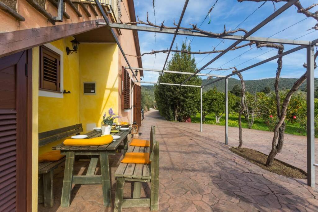 A Charming Country Cottage + Bikes And Kayaks Bosa Bagian luar foto